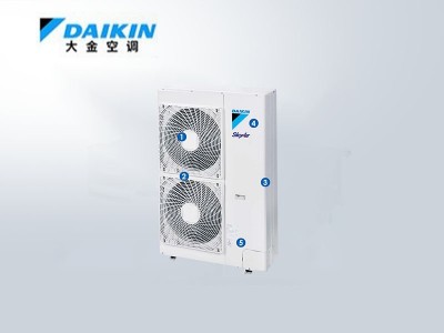 大金10匹中央空調(diào)商用全新風(fēng)處理機(jī)（柜式）FVQF25AA30-RXQ010AA
